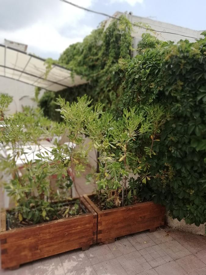 Hotel Noto Marina Stella Marina - B&B Lido di Noto 外观 照片