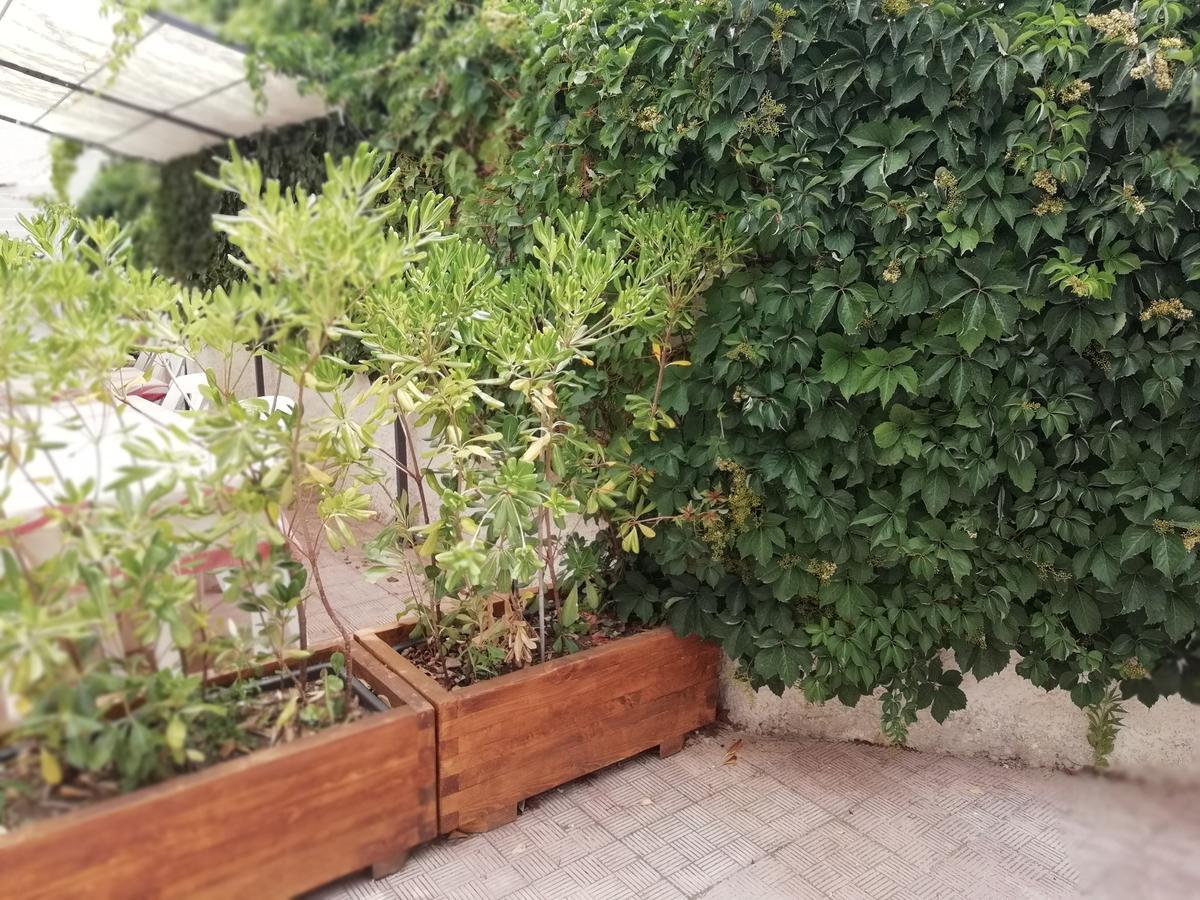 Hotel Noto Marina Stella Marina - B&B Lido di Noto 外观 照片